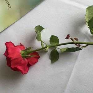 Meet your Posher, Saima